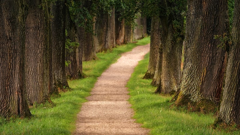 Coastal Trail Hiking Path