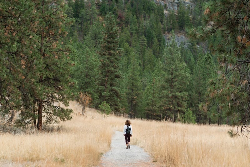 Hiking Woman in Forest
